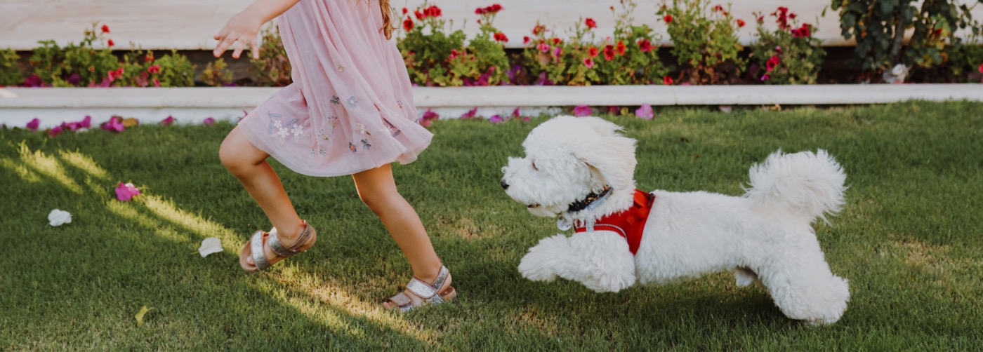 DogWatch of Charlotte, Huntersville, North Carolina | Outdoor Hidden Dog Fences Slider Image